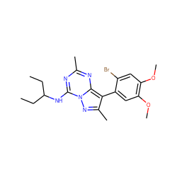 CCC(CC)Nc1nc(C)nc2c(-c3cc(OC)c(OC)cc3Br)c(C)nn12 ZINC000040899872