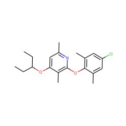 CCC(CC)Oc1cc(C)nc(Oc2c(C)cc(Cl)cc2C)c1C ZINC000001543682