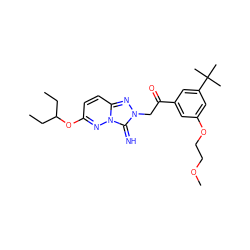 CCC(CC)Oc1ccc2nn(CC(=O)c3cc(OCCOC)cc(C(C)(C)C)c3)c(=N)n2n1 ZINC000115496160