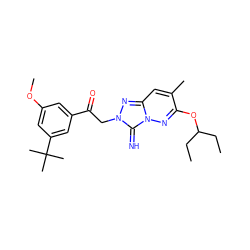 CCC(CC)Oc1nn2c(=N)n(CC(=O)c3cc(OC)cc(C(C)(C)C)c3)nc2cc1C ZINC000115493945