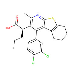 CCC[C@@H](C(=O)O)c1c(C)nc2sc3c(c2c1-c1ccc(Cl)c(Cl)c1)CCCC3 ZINC000113125692