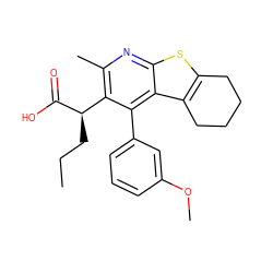 CCC[C@@H](C(=O)O)c1c(C)nc2sc3c(c2c1-c1cccc(OC)c1)CCCC3 ZINC000113123695