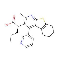 CCC[C@@H](C(=O)O)c1c(C)nc2sc3c(c2c1-c1cccnc1)CCCC3 ZINC000113123227