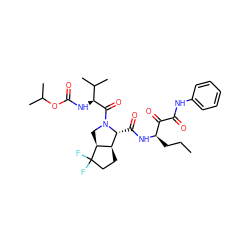 CCC[C@@H](NC(=O)[C@@H]1[C@H]2CCC(F)(F)[C@H]2CN1C(=O)[C@@H](NC(=O)OC(C)C)C(C)C)C(=O)C(=O)Nc1ccccc1 ZINC000026580083