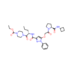 CCC[C@H](NC(=O)c1cc(OCC(=O)N2CCC[C@H]2C(=O)NC2CCC2)n(-c2ccccc2)n1)C(=O)N1CCN(C(=O)OCC)CC1 ZINC000095557383