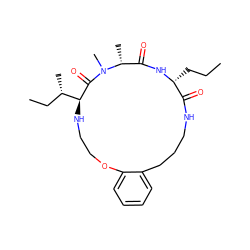 CCC[C@H]1NC(=O)[C@@H](C)N(C)C(=O)[C@H]([C@@H](C)CC)NCCOc2ccccc2CCCNC1=O ZINC001772577257