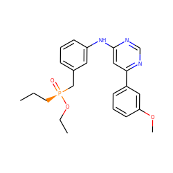 CCC[P@@](=O)(Cc1cccc(Nc2cc(-c3cccc(OC)c3)ncn2)c1)OCC ZINC000169346853