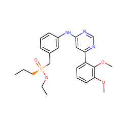 CCC[P@@](=O)(Cc1cccc(Nc2cc(-c3cccc(OC)c3OC)ncn2)c1)OCC ZINC000169346859