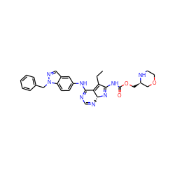 CCC1=C2C(Nc3ccc4c(cnn4Cc4ccccc4)c3)=NC=N[C@H]2N=C1NC(=O)OC[C@@H]1COCCN1 ZINC000045259825