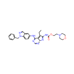 CCC1=C2C(Nc3ccc4c(cnn4Cc4ccccc4)c3)=NC=N[C@H]2N=C1NC(=O)OCCN1CCOCC1 ZINC000049710128