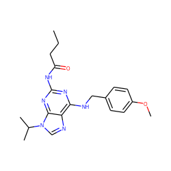 CCCC(=O)Nc1nc(NCc2ccc(OC)cc2)c2ncn(C(C)C)c2n1 ZINC000028641245