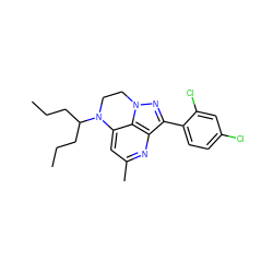 CCCC(CCC)N1CCn2nc(-c3ccc(Cl)cc3Cl)c3nc(C)cc1c32 ZINC000028465228