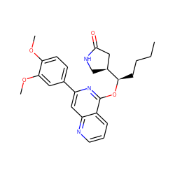 CCCC[C@@H](Oc1nc(-c2ccc(OC)c(OC)c2)cc2ncccc12)[C@H]1CNC(=O)C1 ZINC000141942851