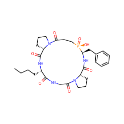 CCCC[C@@H]1NC(=O)[C@@H]2CCCN2C(=O)CC[P@@](=O)(O)[C@@H](Cc2ccccc2)NC(=O)[C@@H]2CCCN2C(=O)CNC1=O ZINC000095553019