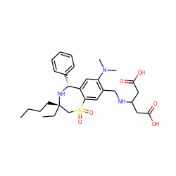 CCCC[C@]1(CC)CS(=O)(=O)c2cc(CNC(CC(=O)O)CC(=O)O)c(N(C)C)cc2[C@@H](c2ccccc2)N1 ZINC000169087498