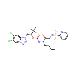 CCCC[C@H](NC(=O)O[C@H](Cn1cnc2cc(Cl)c(Cl)cc21)C(C)(C)C)C(=O)CNS(=O)(=O)c1ccccn1 ZINC000003988881