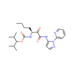 CCCC[C@H](NC(=O)OC(C(C)C)C(C)C)C(=O)C(=O)Nc1ccnn1-c1ccccn1 ZINC000013559129