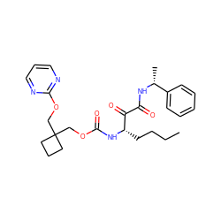 CCCC[C@H](NC(=O)OCC1(COc2ncccn2)CCC1)C(=O)C(=O)N[C@H](C)c1ccccc1 ZINC000013583872