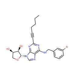 CCCCC#Cc1nc(NCc2cccc(Br)c2)c2ncn([C@@H]3OC[C@@H](O)[C@H]3O)c2n1 ZINC000084564482