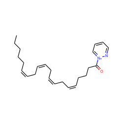 CCCCC/C=C\C/C=C\C/C=C\C/C=C\CCCC(=O)[n+]1ccccn1 ZINC000029124834