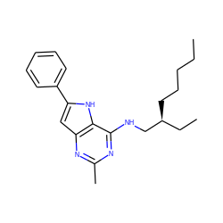 CCCCC[C@@H](CC)CNc1nc(C)nc2cc(-c3ccccc3)[nH]c12 ZINC000100867610