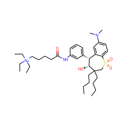 CCCCC1(CCCC)CS(=O)(=O)c2ccc(N(C)C)cc2[C@@H](c2cccc(NC(=O)CCCC[N+](CC)(CC)CC)c2)[C@H]1O ZINC000028524509