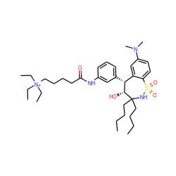 CCCCC1(CCCC)NS(=O)(=O)c2ccc(N(C)C)cc2[C@@H](c2cccc(NC(=O)CCCC[N+](CC)(CC)CC)c2)[C@H]1O ZINC000003992467