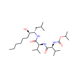 CCCCCC[C@@H](O)[C@H](CC(C)C)NC(=O)[C@@H](NC(=O)[C@@H](NC(=O)OC(C)C)C(C)C)C(C)C ZINC000013798119