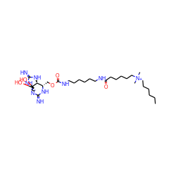 CCCCCC[N+](C)(C)CCCCCC(=O)NCCCCCCNC(=O)OC[C@@H]1NC(=N)N2CCC(O)(O)[C@@]23NC(=N)N[C@@H]13 ZINC001772598239