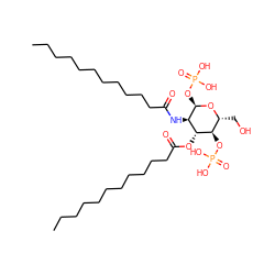 CCCCCCCCCCCC(=O)N[C@H]1[C@@H](OP(=O)(O)O)O[C@H](CO)[C@@H](OP(=O)(O)O)[C@@H]1OC(=O)CCCCCCCCCCC ZINC001772623770