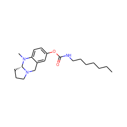 CCCCCCCNC(=O)Oc1ccc2c(c1)CN1CCC[C@@H]1N2C ZINC000095576015