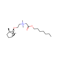 CCCCCCCOC(=O)C[N+](C)(C)CCO[C@H]1C[C@H]2CC[C@@]1(C)C2(C)C ZINC000100732940