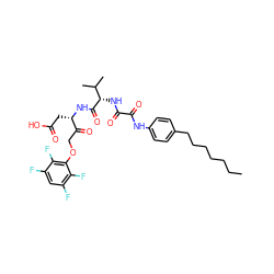 CCCCCCCc1ccc(NC(=O)C(=O)N[C@H](C(=O)N[C@@H](CC(=O)O)C(=O)COc2c(F)c(F)cc(F)c2F)C(C)C)cc1 ZINC000049683114