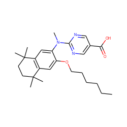 CCCCCCOc1cc2c(cc1N(C)c1ncc(C(=O)O)cn1)C(C)(C)CCC2(C)C ZINC000027072844