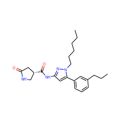 CCCCCCn1nc(NC(=O)[C@@H]2CNC(=O)C2)cc1-c1cccc(CCC)c1 ZINC000169706944