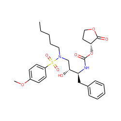 CCCCCN(C[C@@H](O)[C@H](Cc1ccccc1)NC(=O)O[C@@H]1CCOC1=O)S(=O)(=O)c1ccc(OC)cc1 ZINC000095554392