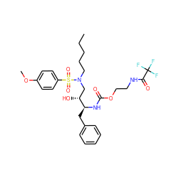 CCCCCN(C[C@@H](O)[C@H](Cc1ccccc1)NC(=O)OCCNC(=O)C(F)(F)F)S(=O)(=O)c1ccc(OC)cc1 ZINC000095553283