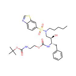 CCCCCN(C[C@@H](O)[C@H](Cc1ccccc1)NC(=O)OCCNC(=O)OC(C)(C)C)S(=O)(=O)c1ccc2ncsc2c1 ZINC000095553162