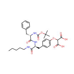CCCCCNC(=O)[C@H](Cc1ccc(OC(C(=O)O)C(=O)O)cc1)NC(=O)[C@H](Cc1ccccc1)NC(=O)OC(C)(C)C ZINC000027711182