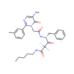 CCCCCNC(=O)C(F)(F)C(=O)[C@@H](Cc1ccccc1)NC(=O)Cn1c(-c2cccc(C)c2)ncc(N)c1=O ZINC000028756307