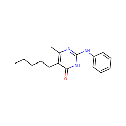 CCCCCc1c(C)nc(Nc2ccccc2)[nH]c1=O ZINC000008602394