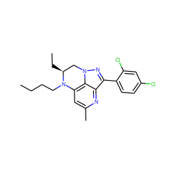 CCCCN1c2cc(C)nc3c(-c4ccc(Cl)cc4Cl)nn(c23)C[C@@H]1CC ZINC000013672707