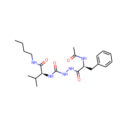 CCCCNC(=O)[C@@H](NC(=O)NNC(=O)[C@H](Cc1ccccc1)NC(C)=O)C(C)C ZINC000013491223