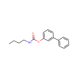 CCCCNC(=O)Oc1cccc(-c2ccccc2)c1 ZINC000040833951