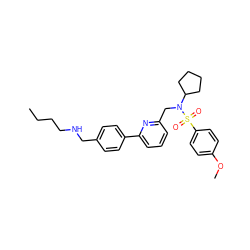 CCCCNCc1ccc(-c2cccc(CN(C3CCCC3)S(=O)(=O)c3ccc(OC)cc3)n2)cc1 ZINC000066103377