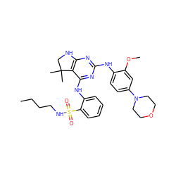 CCCCNS(=O)(=O)c1ccccc1Nc1nc(Nc2ccc(N3CCOCC3)cc2OC)nc2c1C(C)(C)CN2 ZINC000221658160