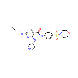 CCCCNc1ncc(C(=O)Nc2ccc(S(=O)(=O)N3CCOCC3)cc2)c(N[C@@H]2CCNC2)n1 ZINC000103257263