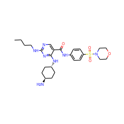 CCCCNc1ncc(C(=O)Nc2ccc(S(=O)(=O)N3CCOCC3)cc2)c(N[C@H]2CC[C@H](N)CC2)n1 ZINC000261113448