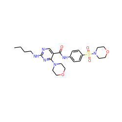 CCCCNc1ncc(C(=O)Nc2ccc(S(=O)(=O)N3CCOCC3)cc2)c(N2CCOCC2)n1 ZINC000103257276