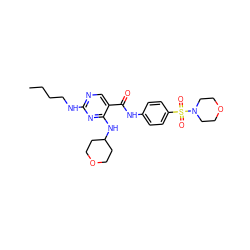 CCCCNc1ncc(C(=O)Nc2ccc(S(=O)(=O)N3CCOCC3)cc2)c(NC2CCOCC2)n1 ZINC000103257272